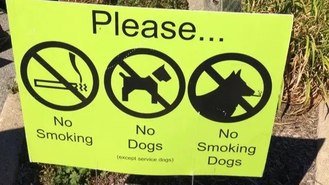 Image credit: reddit | u/SeniorFuzzyPants