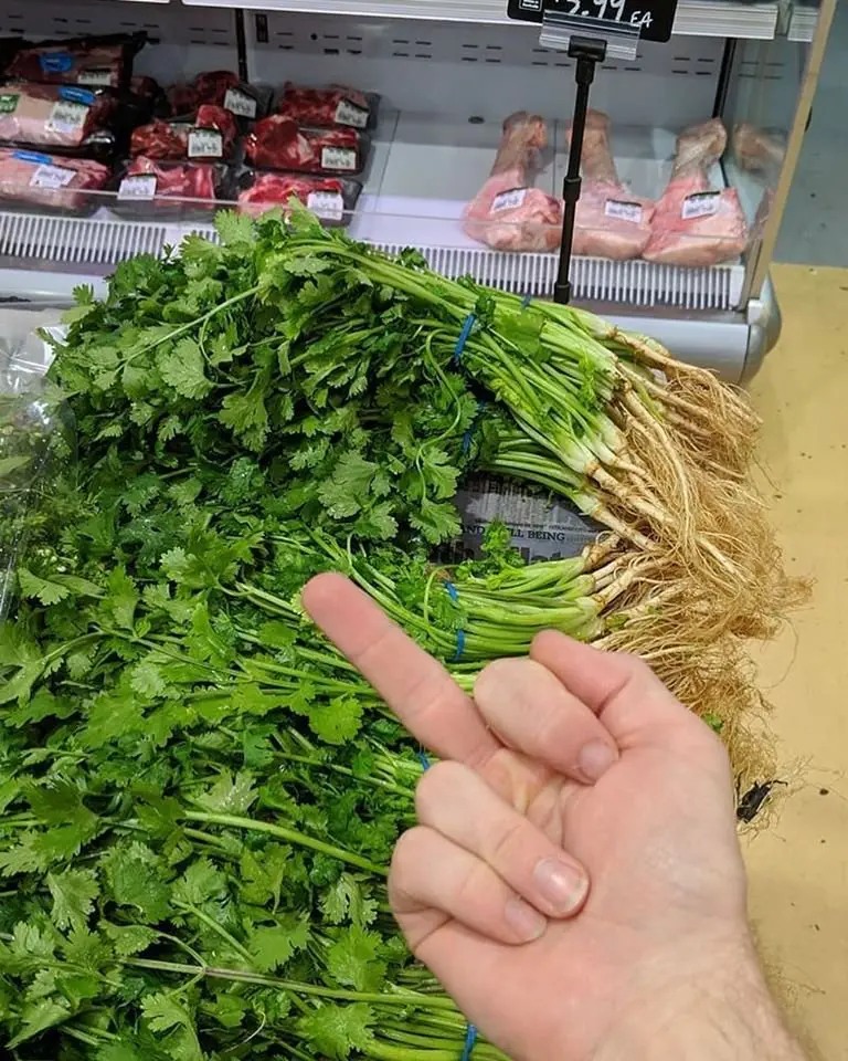 Image credit: Facebook | I Hate Coriander