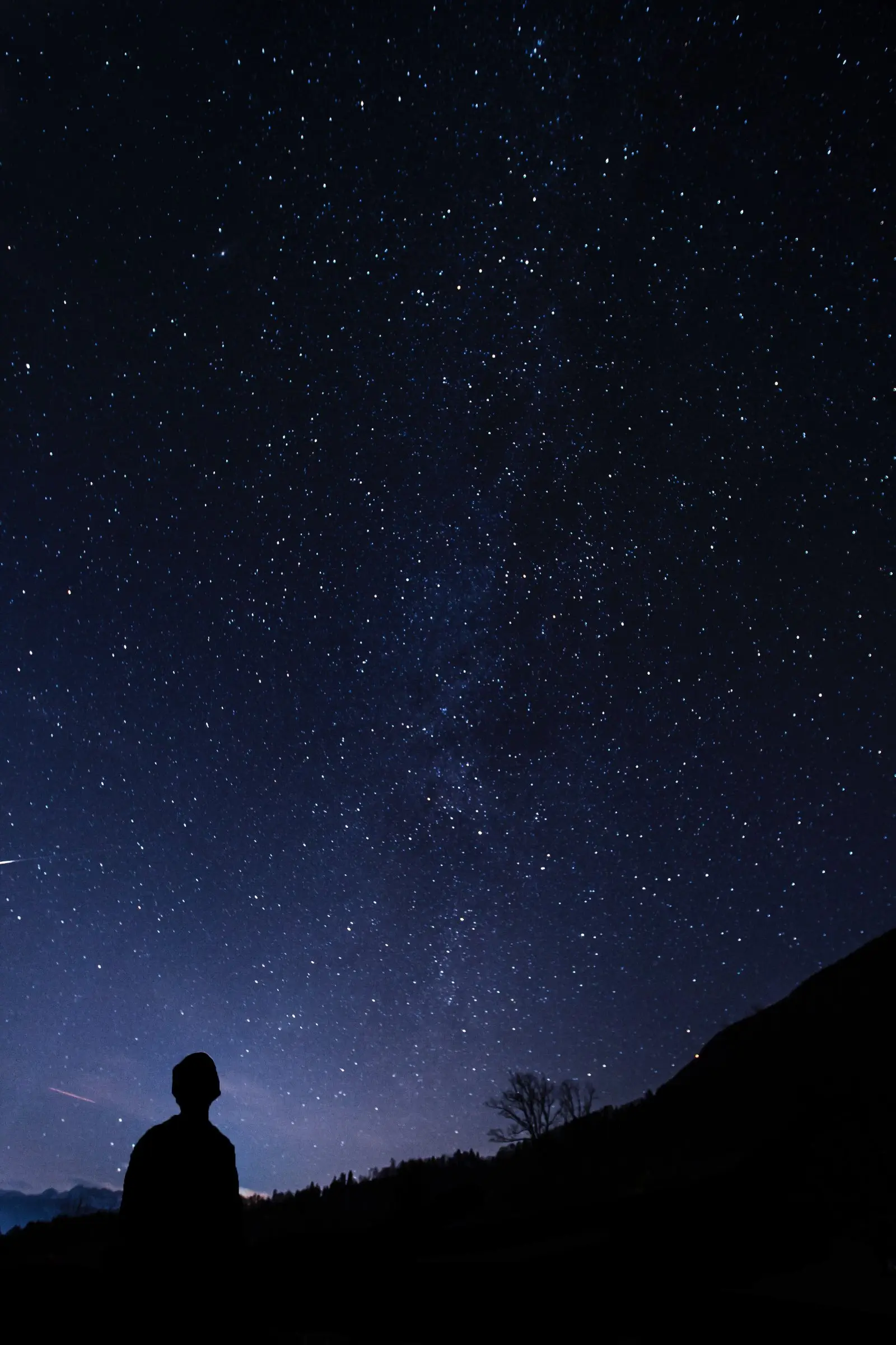 Image credit: Unsplash | Klemen Vrankar