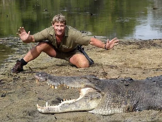Image credit: Instagram | @wildlifewarriorsworldwide