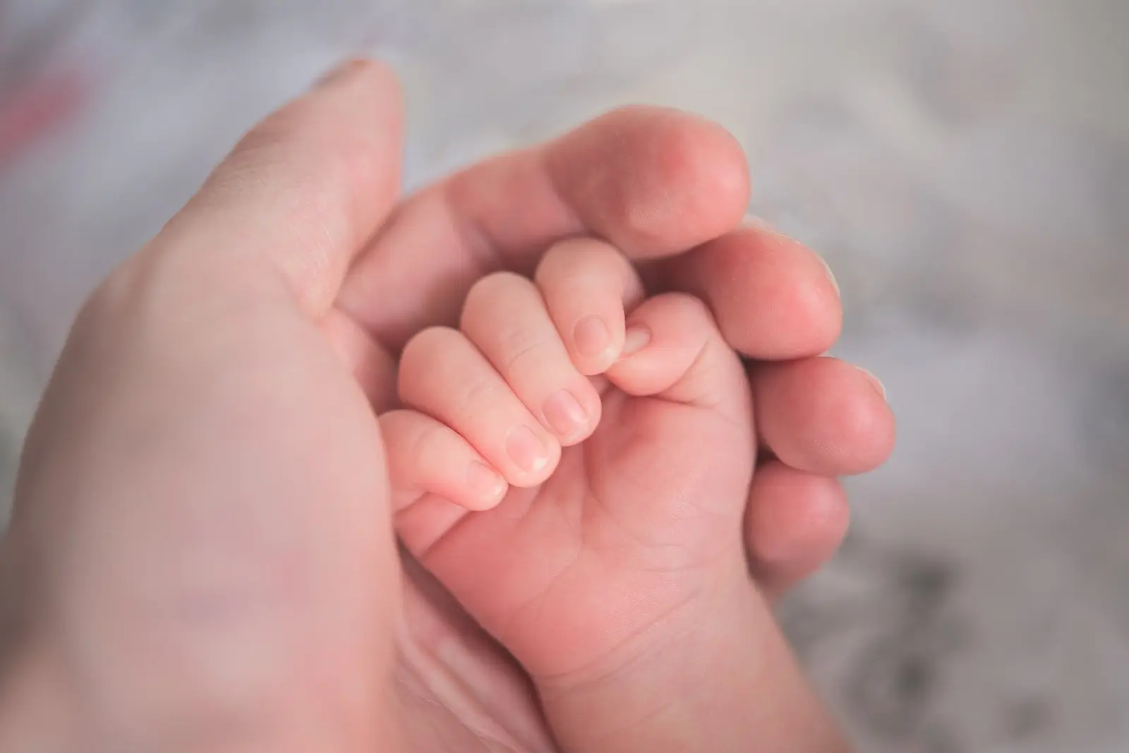 Image credit: Unsplash | Hu Chen