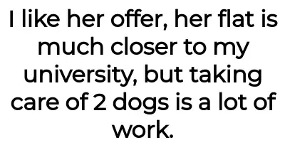 Image credit: freedogsitter | freedogsitter