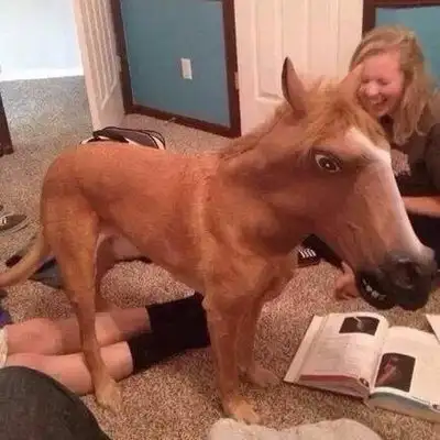 Image credit: Reddit | DangItsJames