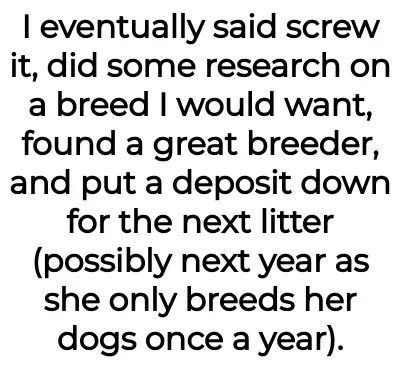 Image credit: throwawaychooseapup | throwawaychooseapup