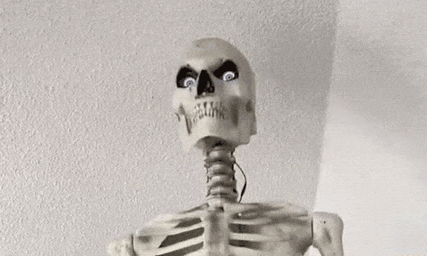 Image credit: Giphy