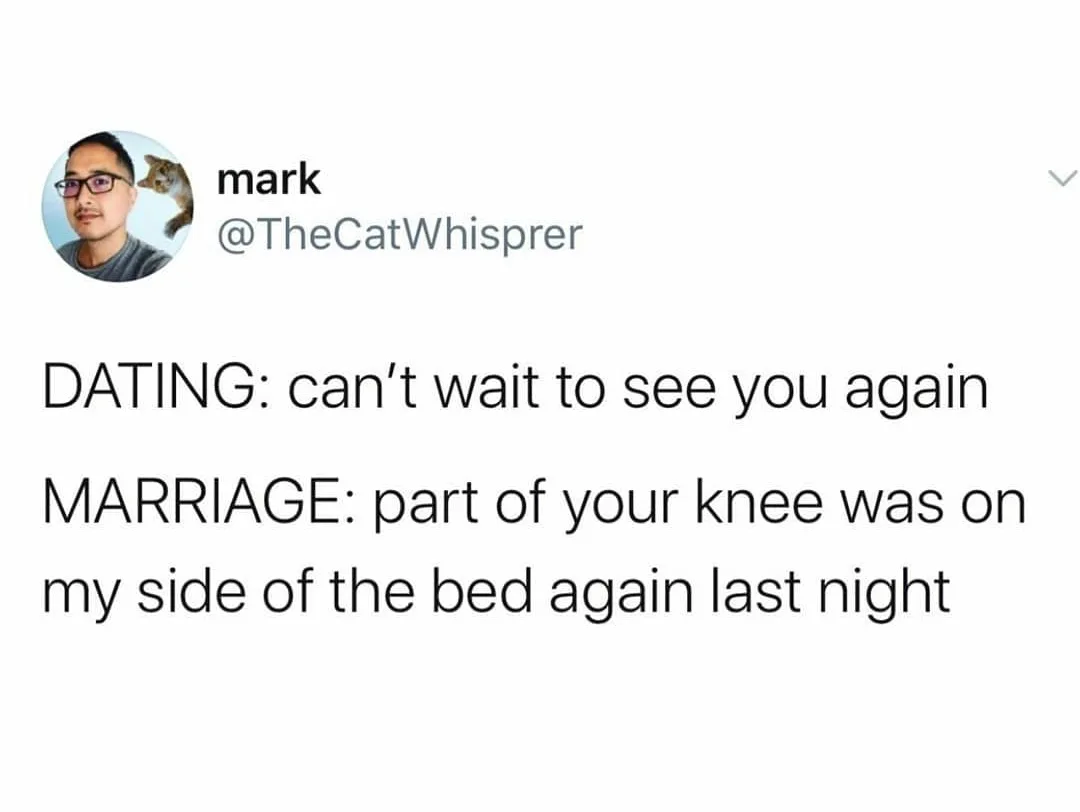 Image credit: Twitter | @TheCatWhisprer