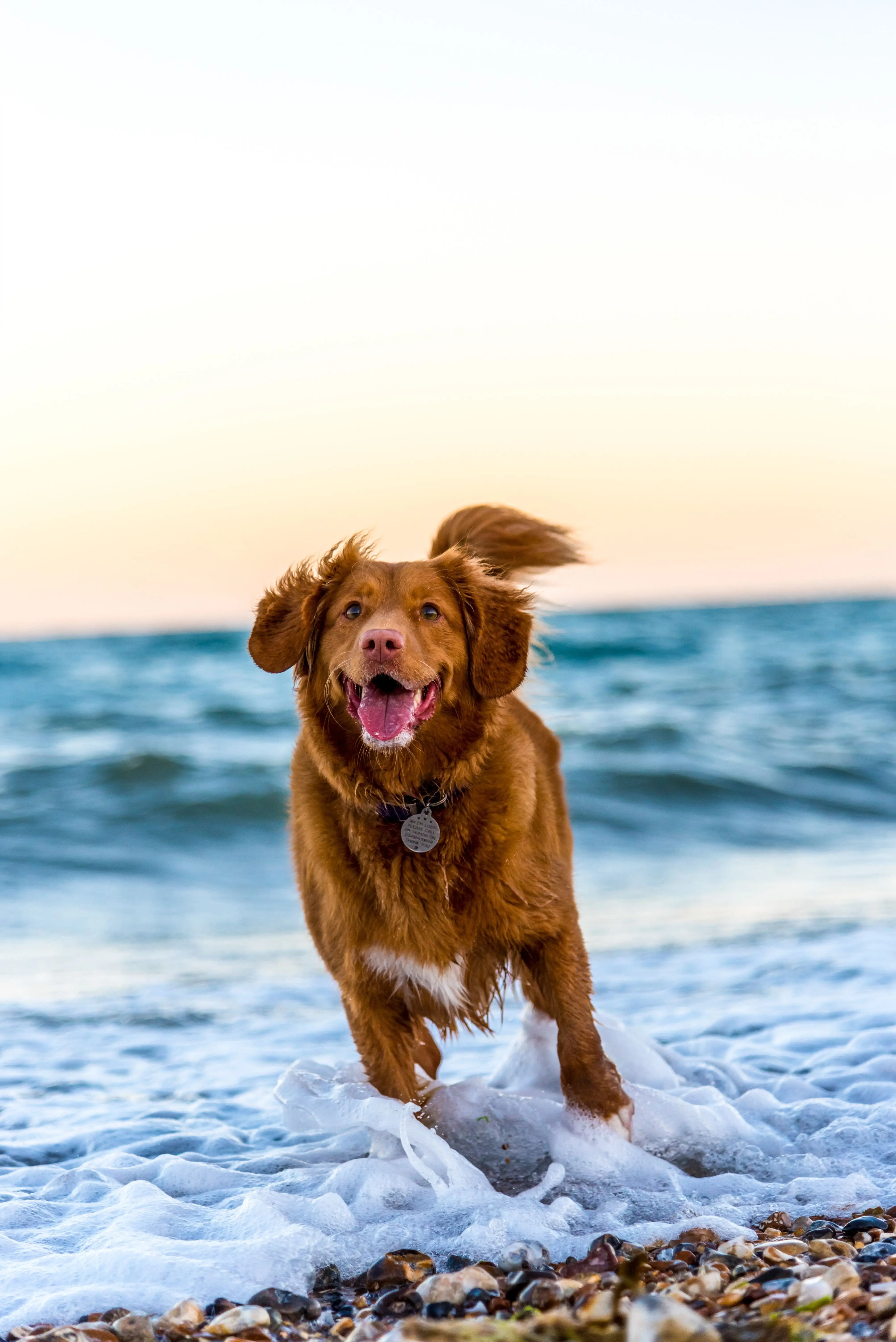 Image credit: Unsplash | Oscar Sutton