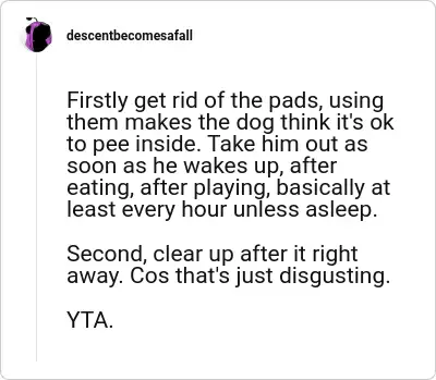 Image credit: descentbecomesafall | descentbecomesafall