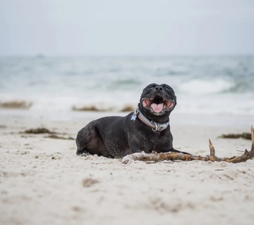 Image credit: Unsplash | Jana Sabeth