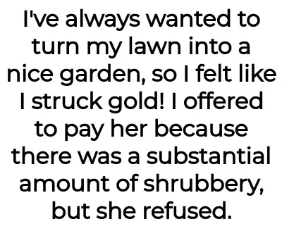 Image credit: noreferenceforyou | noreferenceforyou