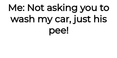 Image credit: ohpotatoblessme | ohpotatoblessme