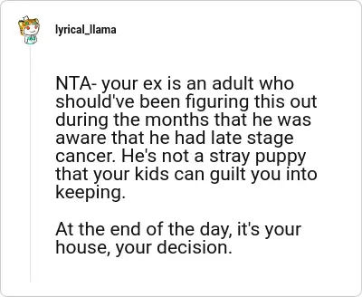 Image credit: lyrical_llama | lyrical_llama