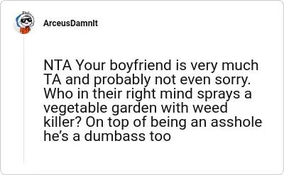 Image credit: ArceusDamnIt | ArceusDamnIt