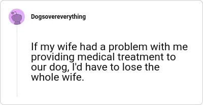 Image credit: Dogsovereverything | Dogsovereverything