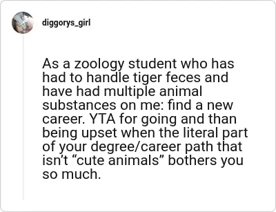 Image credit: diggorys_girl | diggorys_girl