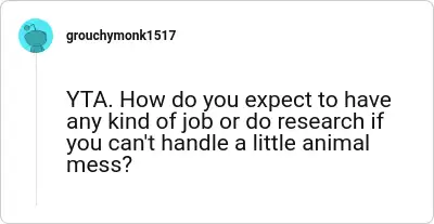 Image credit: grouchymonk1517 | grouchymonk1517