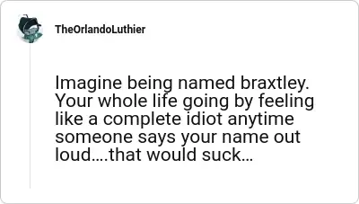 Image credit: TheOrlandoLuthier | TheOrlandoLuthier