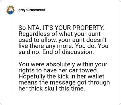 Image credit: greyburmesecat | greyburmesecat