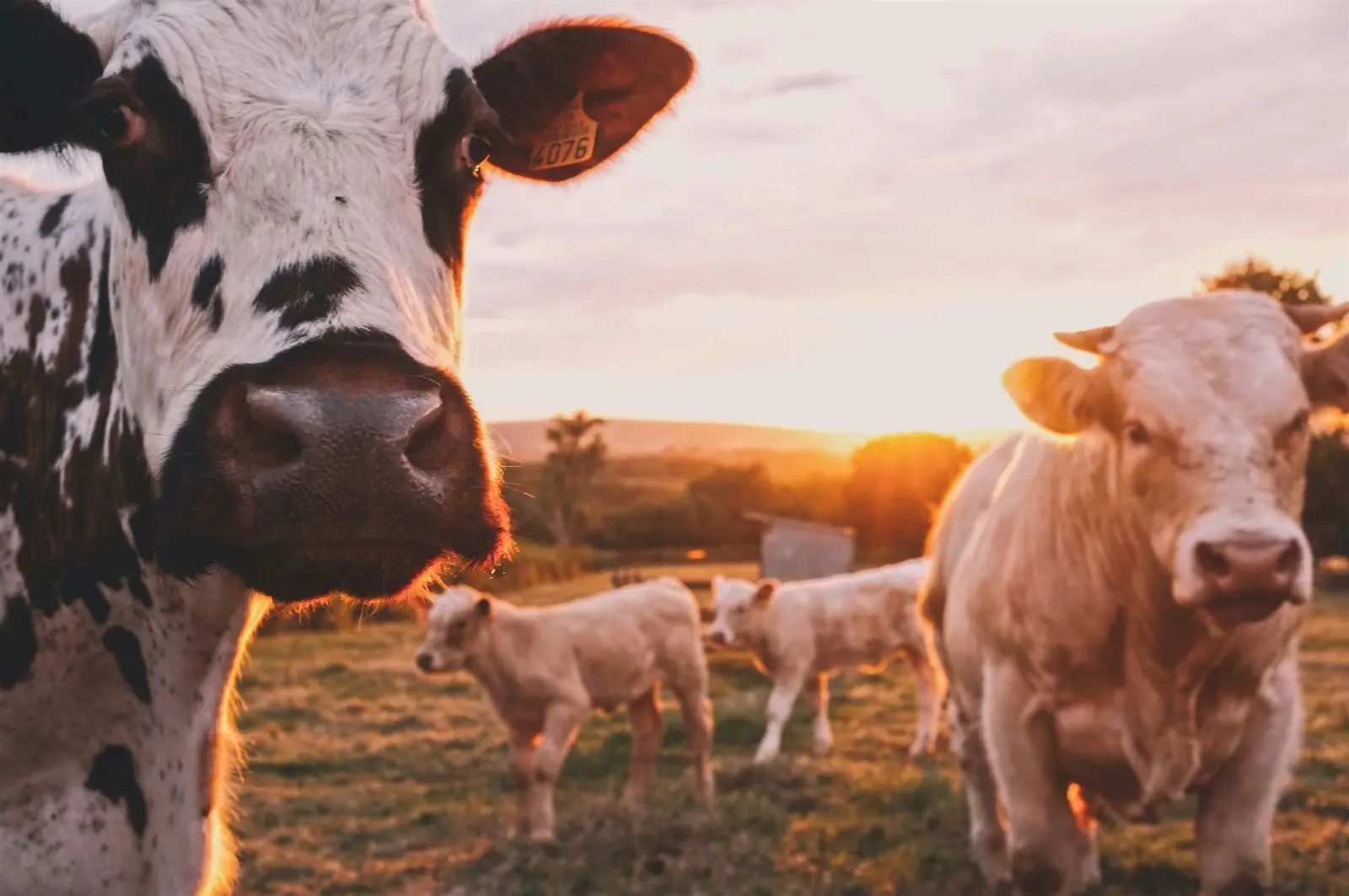 Image credit: Unsplash | Stijn te Strake