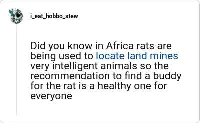 Image credit: i_eat_hobbo_stew | i_eat_hobbo_stew