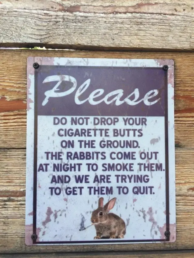 Image credit: reddit | u/KuronFury