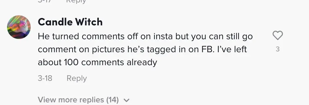 Image credit: TikTok | @meganmesveskas