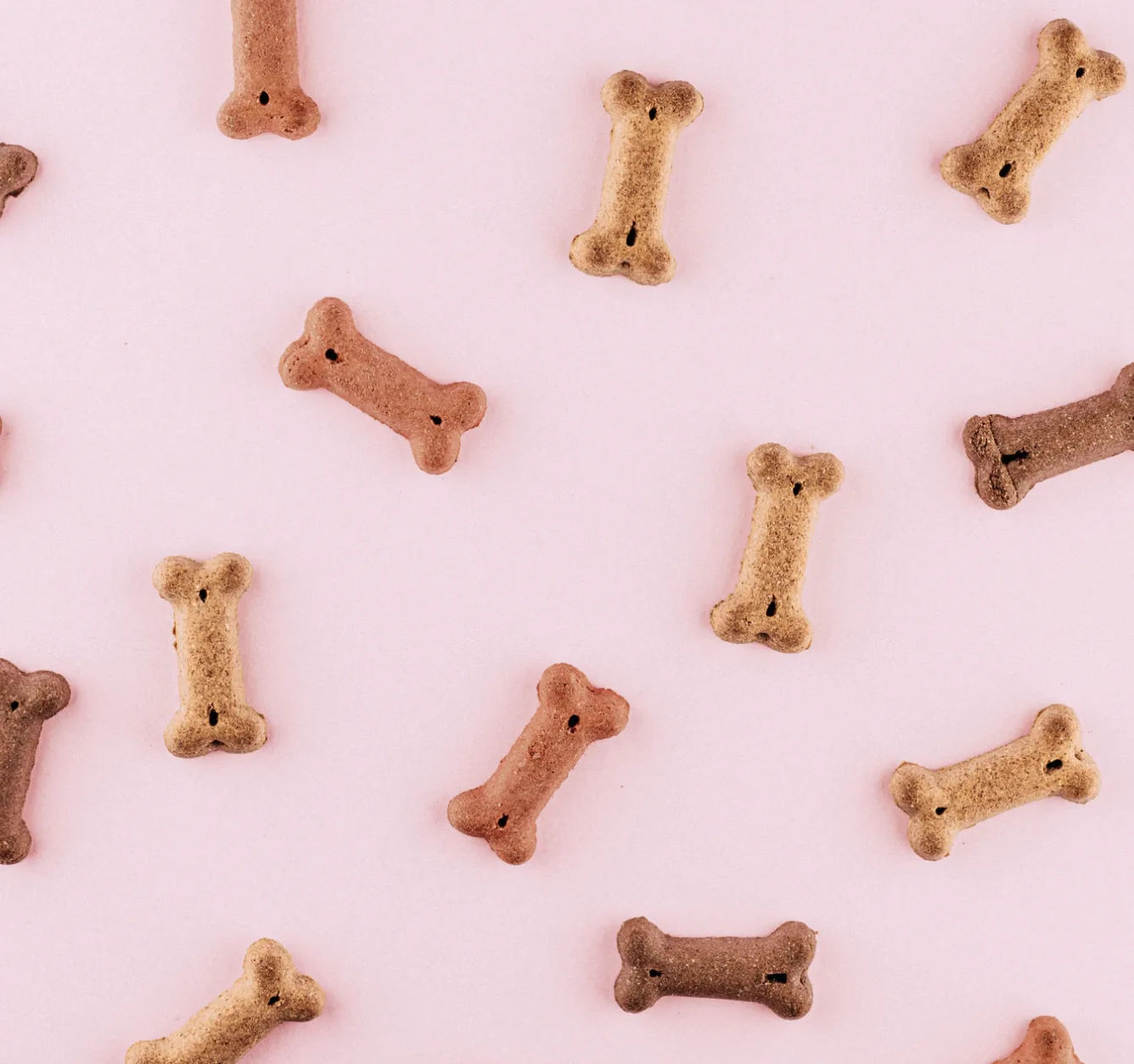 Image credit: Unsplash | okeykat