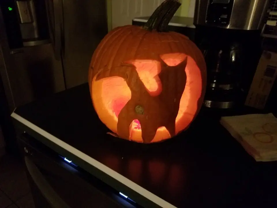 Image credit: Reddit | Hyzer_Ace91