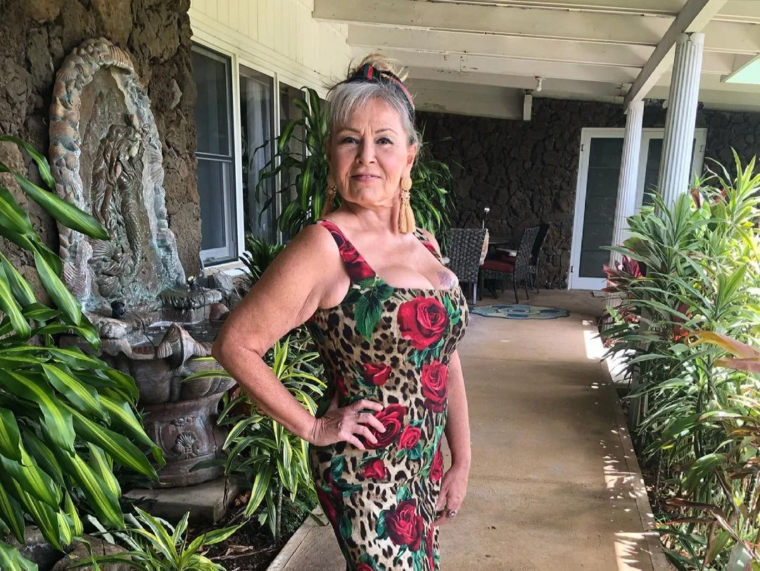 Image credit: Instagram | @officialroseannebarr