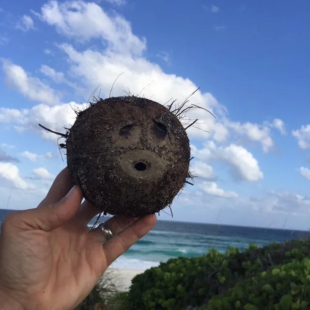 Image credit: Reddit | gooseneckmonkey