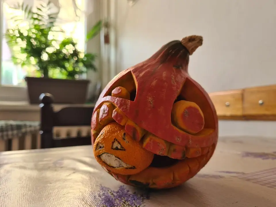 Image credit: Reddit | NeatlyFuzzy