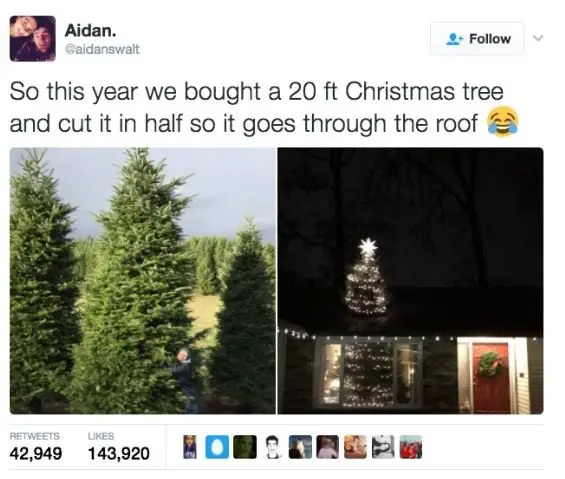 Image credit: Twitter | @aidanswalt