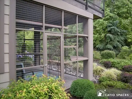 Image credit: Catio Spaces