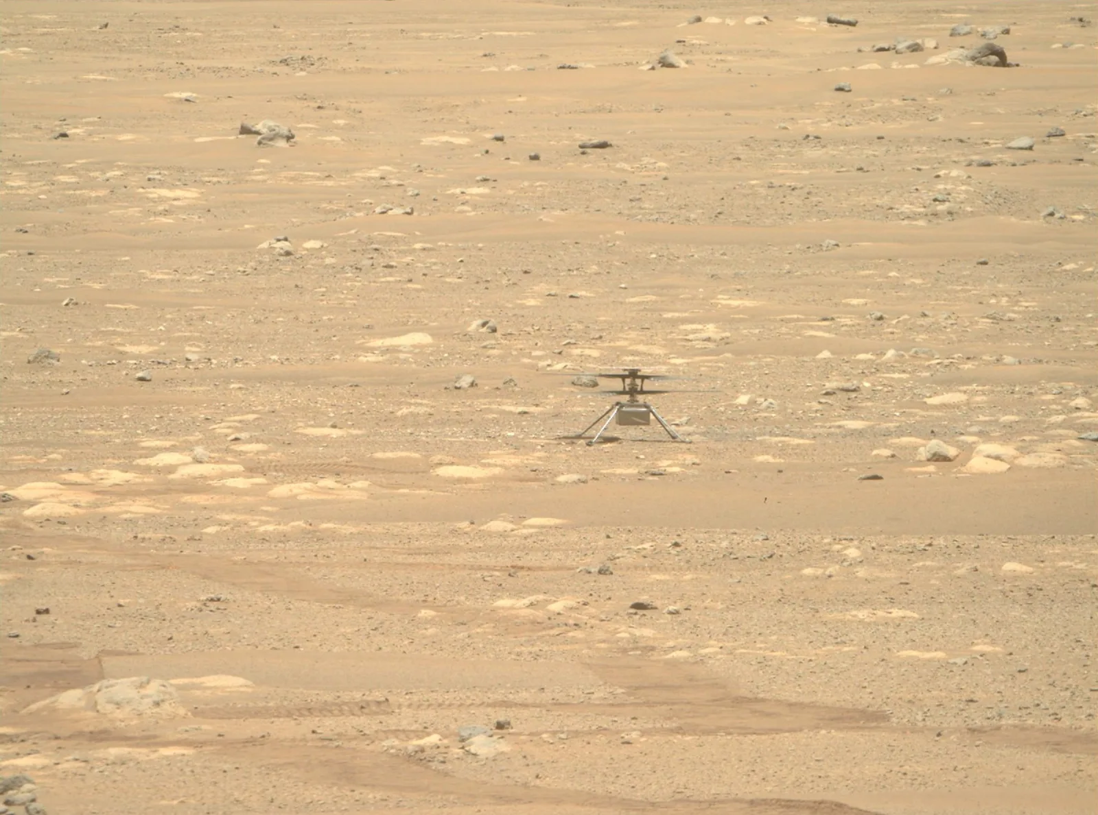 Image credit: Twitter | @NASAJPL