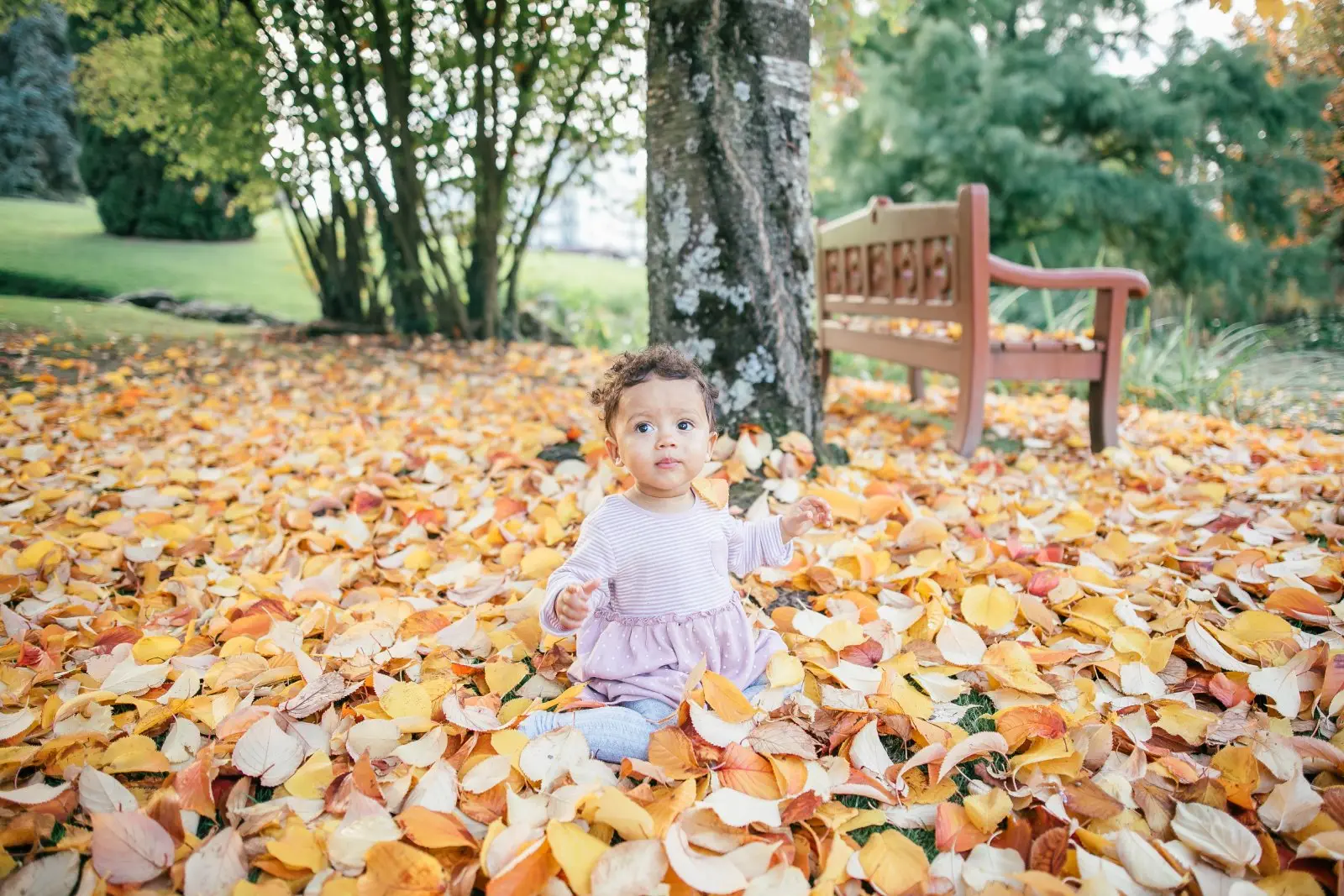 Image credit: Unsplash | Humphrey Muleba