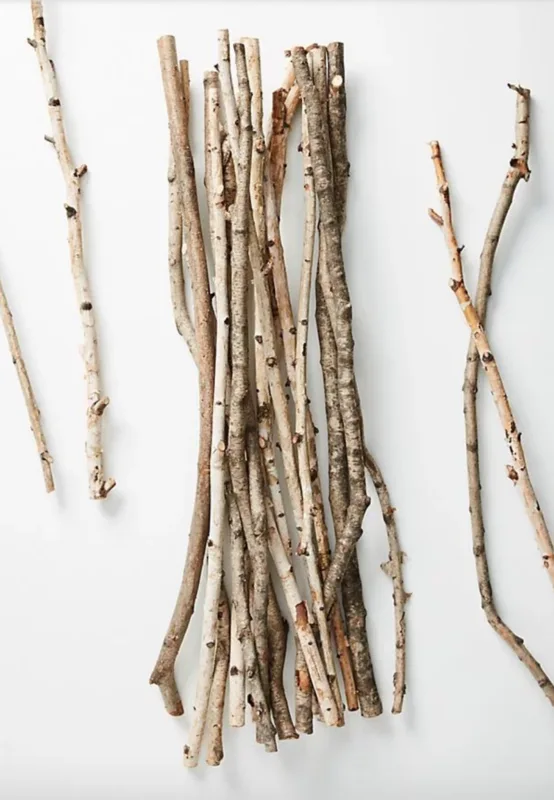 Image credit: Anthropologie