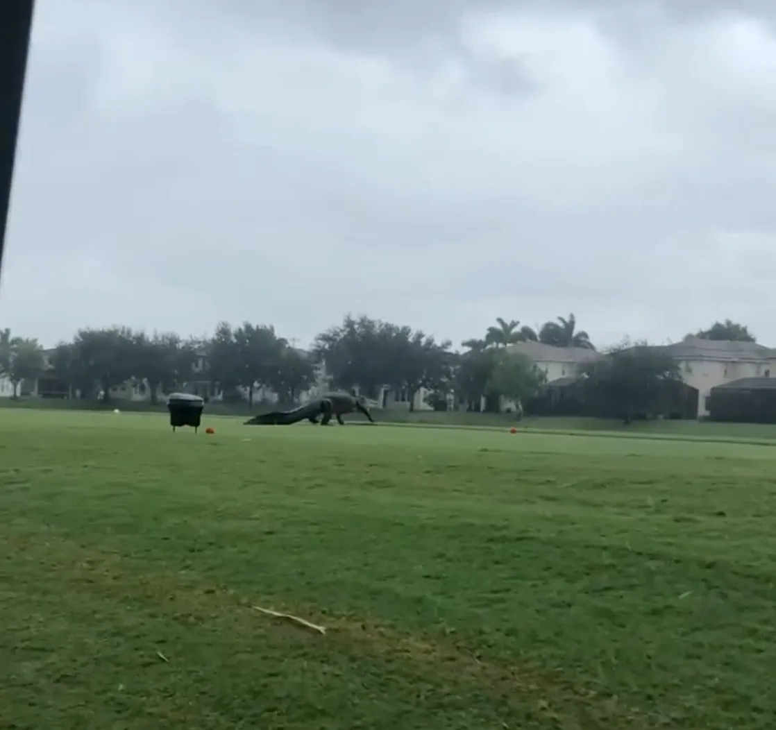 Image credit: Facebook | Valencia Golf and Country Club