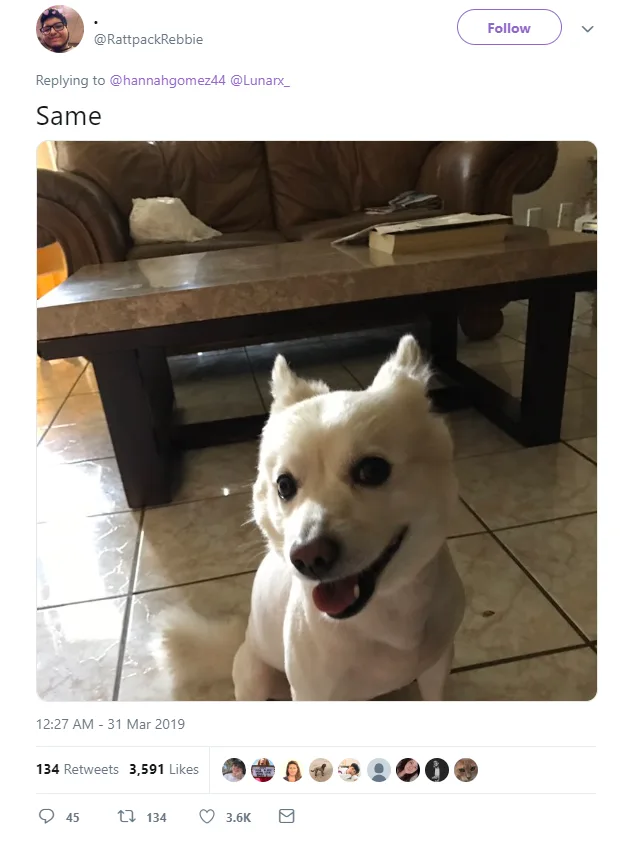 Image credit: Twitter | @RattpackRebbie