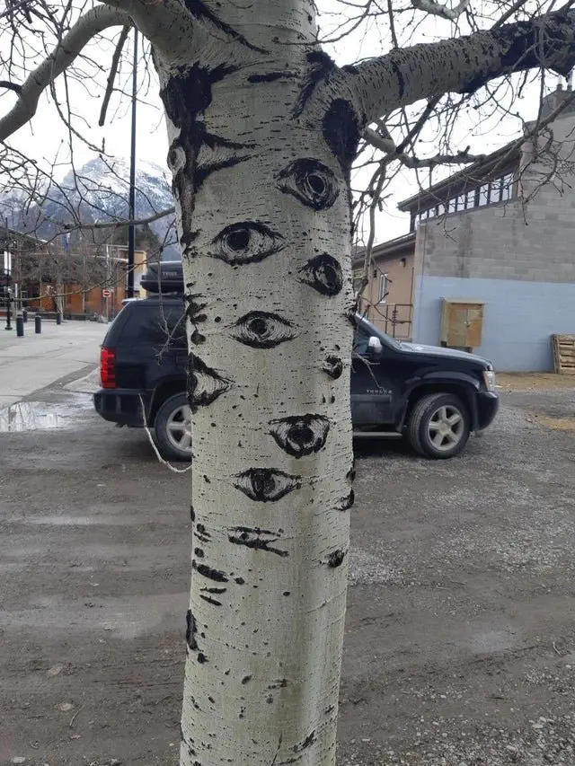 Image credit: Cr0fter