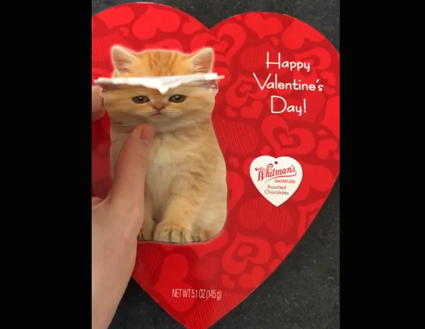 Image credit: Reddit | u/Lord-Unchemael