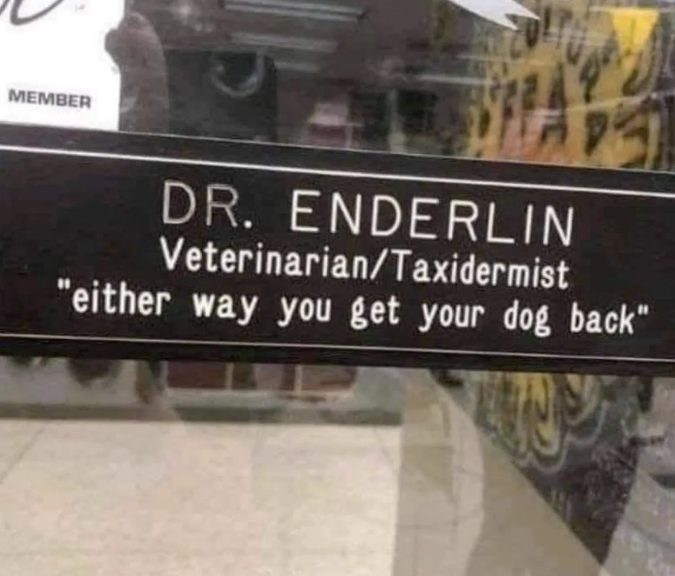 Image credit: Reddit | areohseawhy