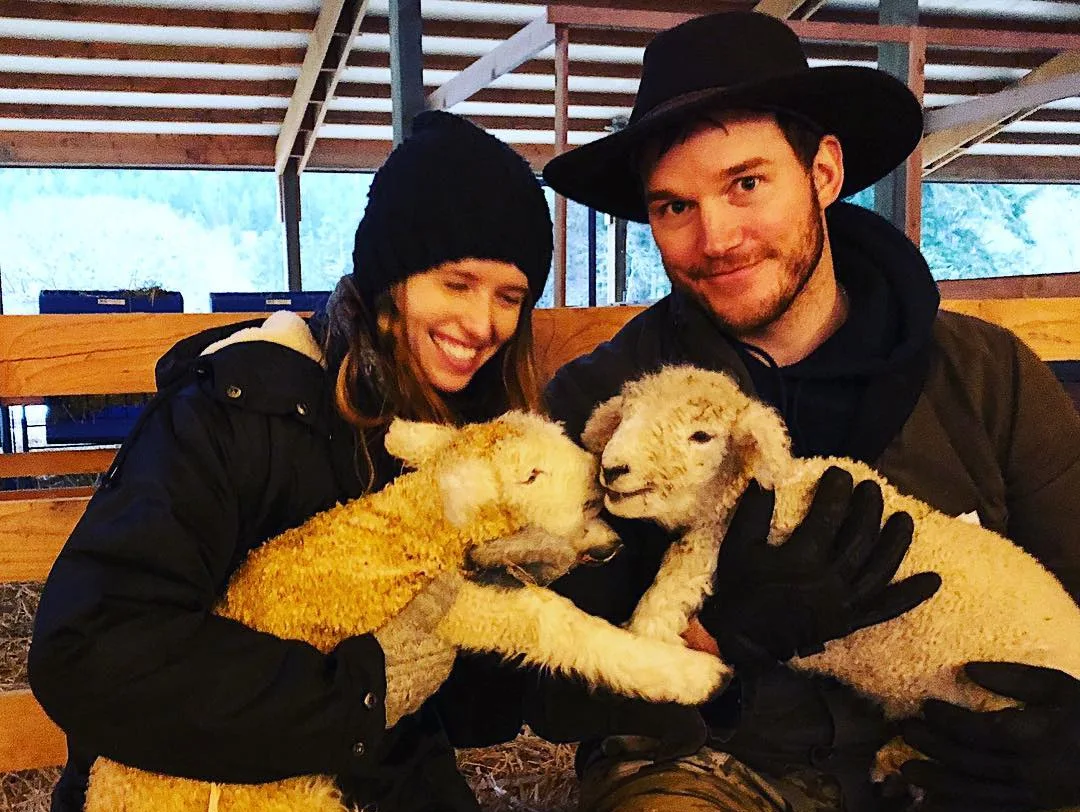 Image credit: Instagram | @prattprattpratt