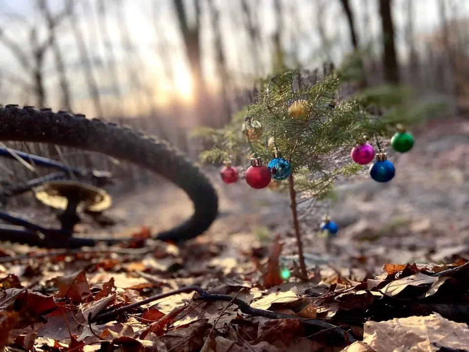 Image credit: iamtheliquor__