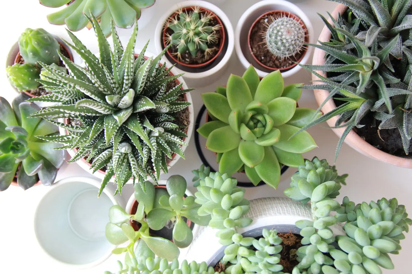 Image credit: Unsplash | Angèle Kamp
