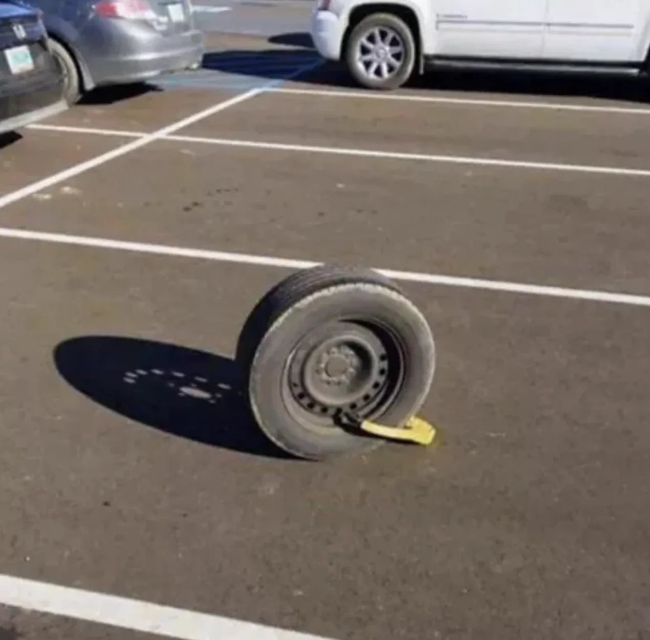 Image credit: Reddit | Desenbigh