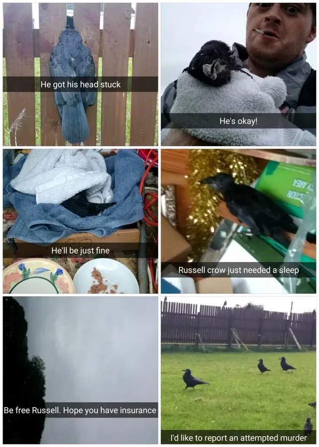 Image credit: Reddit | mftnhsdiq