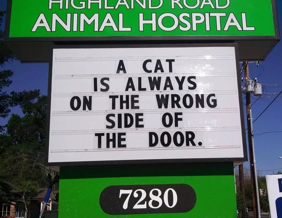 Image credit: Facebook | Holly Ridge Veterinary Hospital