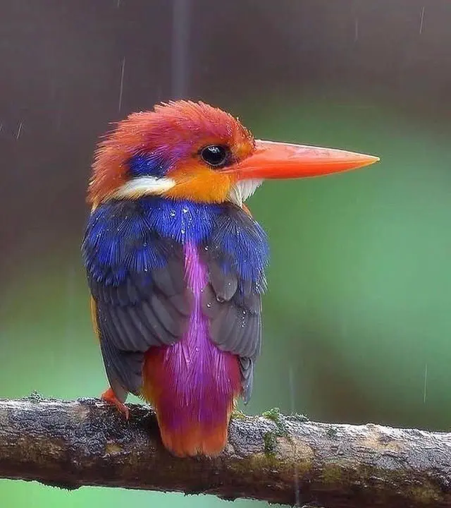 Image credit: Reddit | Khrime