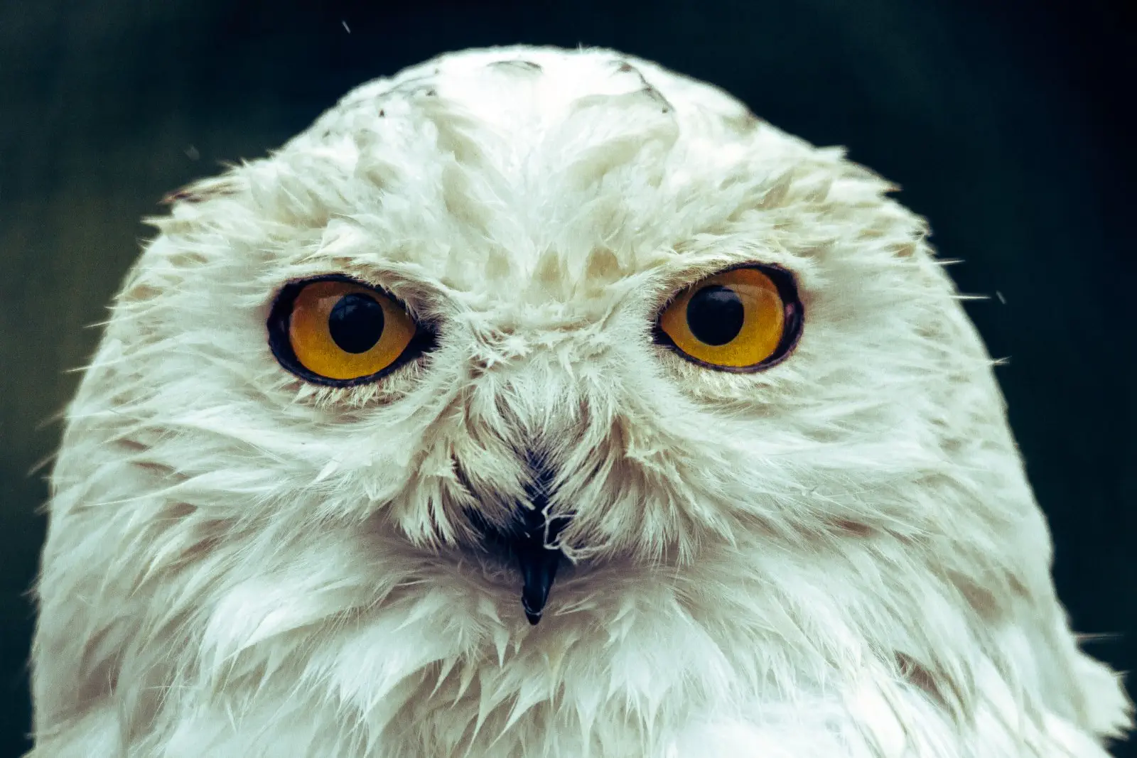 Image credit: Unsplash | Frida Bredesen