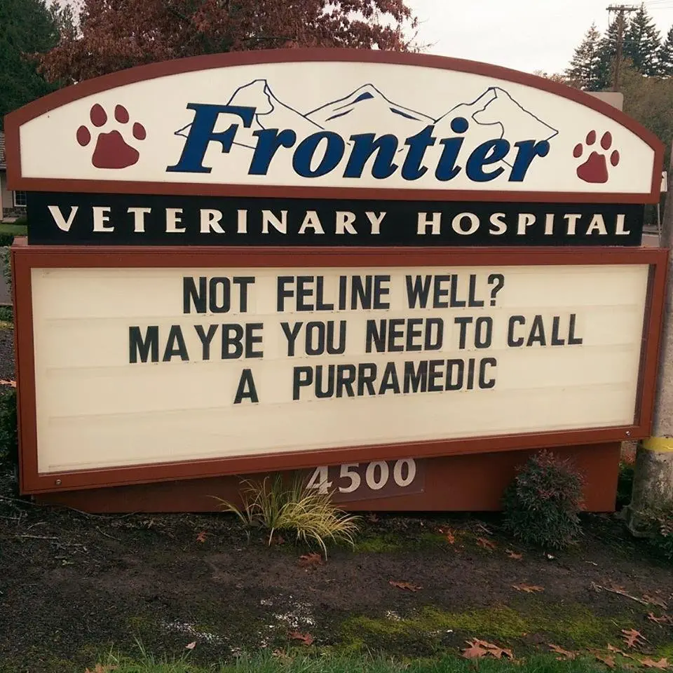 Image credit: Facebook | Frontier Veterinary Hospital